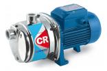 3CR Pedrollo Booster Pump     